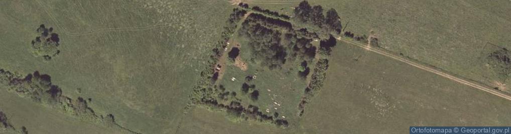 Zdjęcie satelitarne Stary cmentarz greckokatolicki w Siemuszowej
