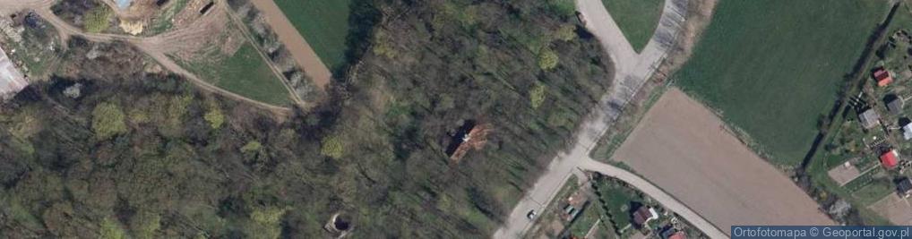 Zdjęcie satelitarne Stary cmentarz św. Rocha