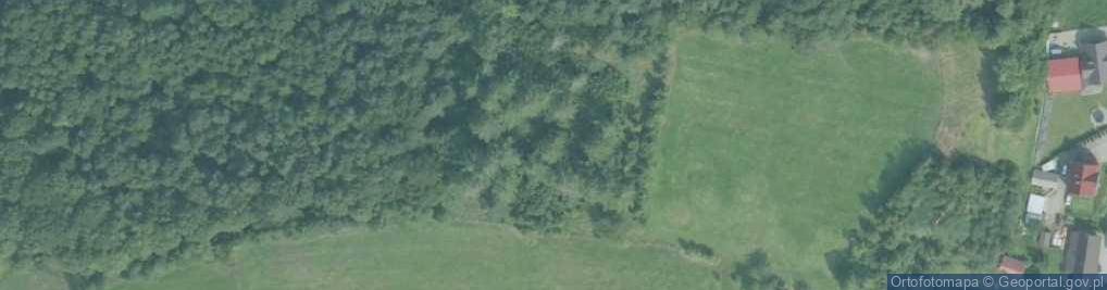 Zdjęcie satelitarne Stary cmentarz w Wiśniowej