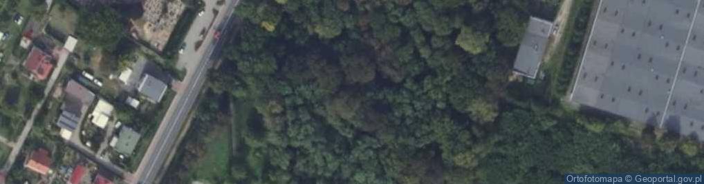 Zdjęcie satelitarne stary ewangelicki