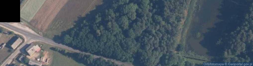 Zdjęcie satelitarne Stary historyczny w Brzeźnicy