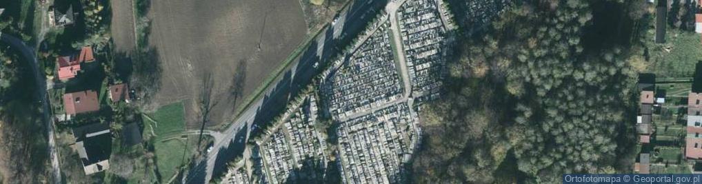 Zdjęcie satelitarne w Skoczowie