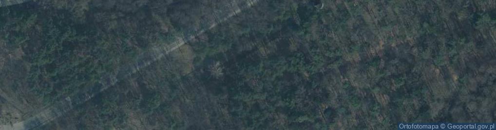 Zdjęcie satelitarne Wojskowy
