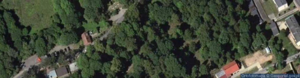 Zdjęcie satelitarne Zabytkowy cmentarz ewangelicki