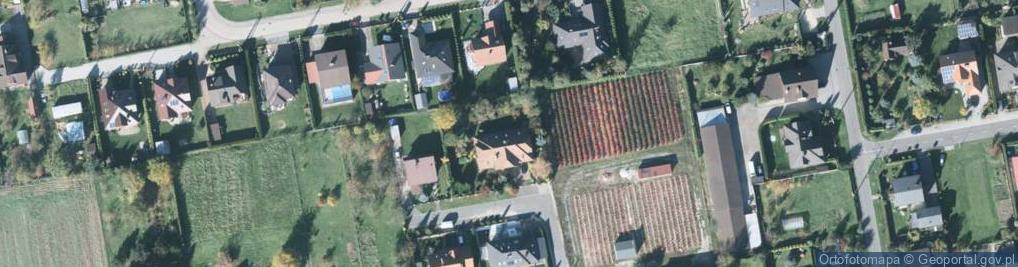 Zdjęcie satelitarne Piech Stomatologiczny