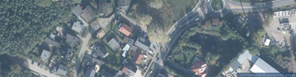 Zdjęcie satelitarne DHL POP ŻABKA