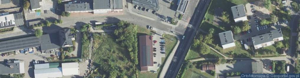 Zdjęcie satelitarne Dino