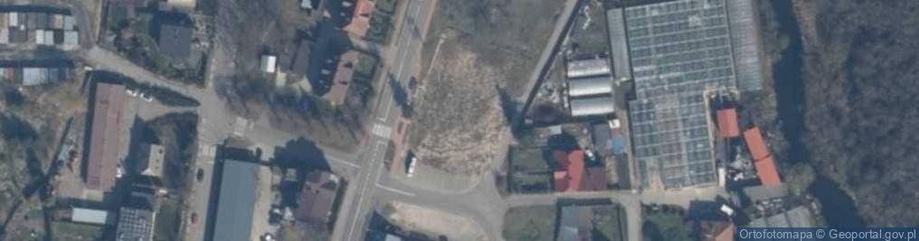 Zdjęcie satelitarne Dino