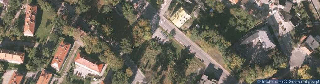 Zdjęcie satelitarne Dino