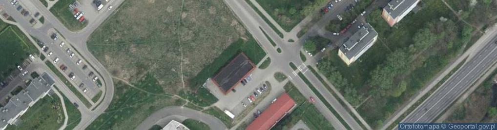 Zdjęcie satelitarne Dino