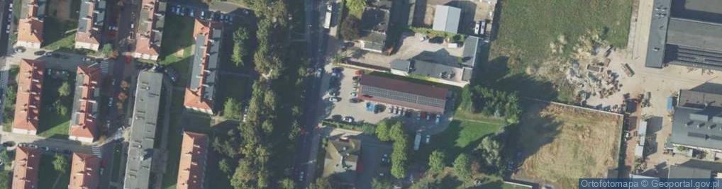 Zdjęcie satelitarne Dino