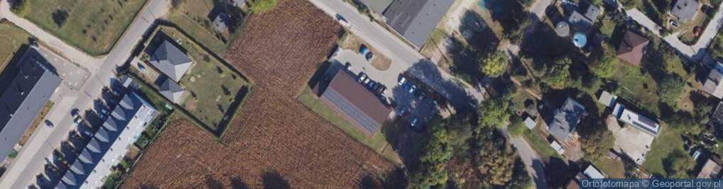 Zdjęcie satelitarne Dino