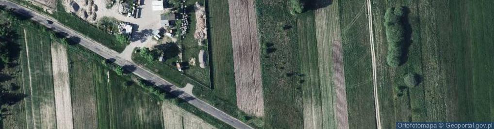 Zdjęcie satelitarne Dino