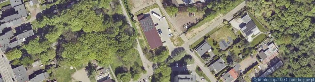 Zdjęcie satelitarne Dino