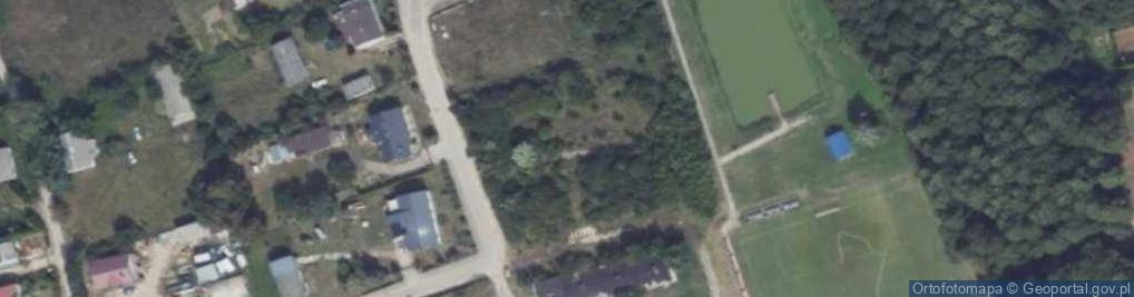 Zdjęcie satelitarne Dino