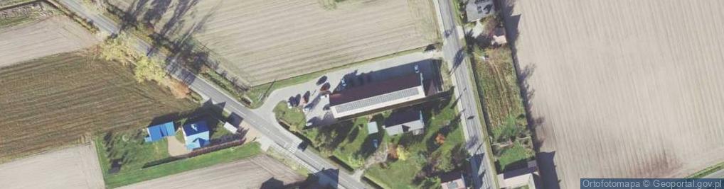 Zdjęcie satelitarne Dino