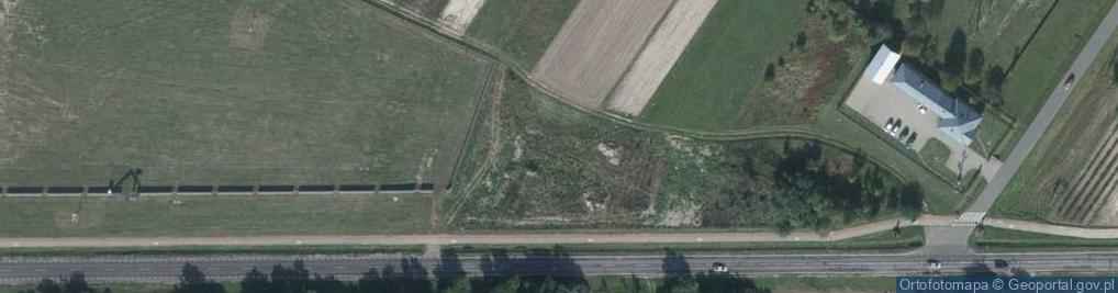 Zdjęcie satelitarne Dino