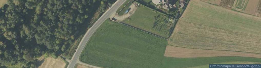 Zdjęcie satelitarne Dino