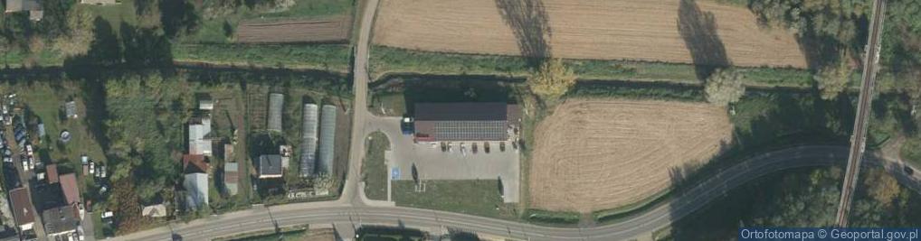 Zdjęcie satelitarne Dino