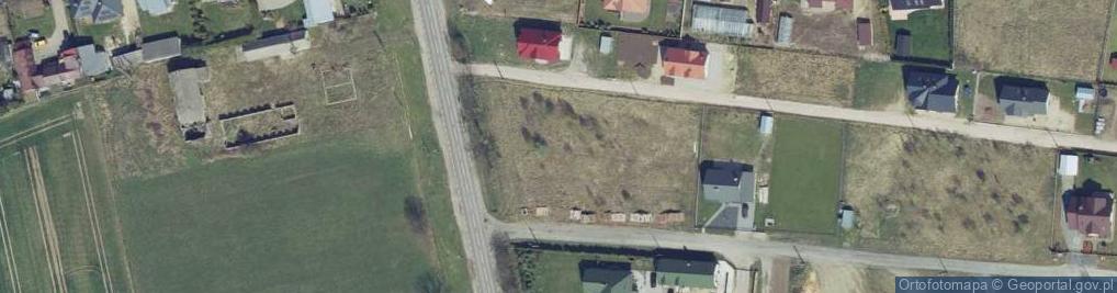 Zdjęcie satelitarne Dino