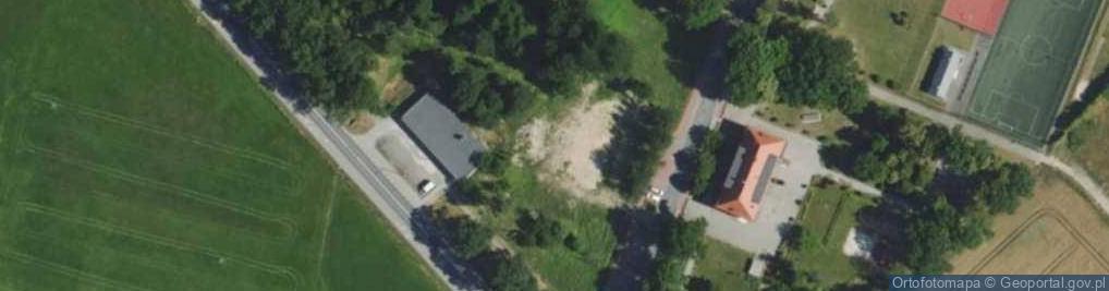 Zdjęcie satelitarne Dino