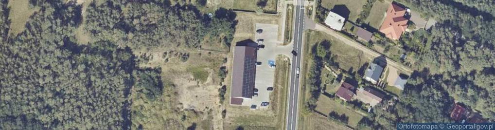 Zdjęcie satelitarne Dino