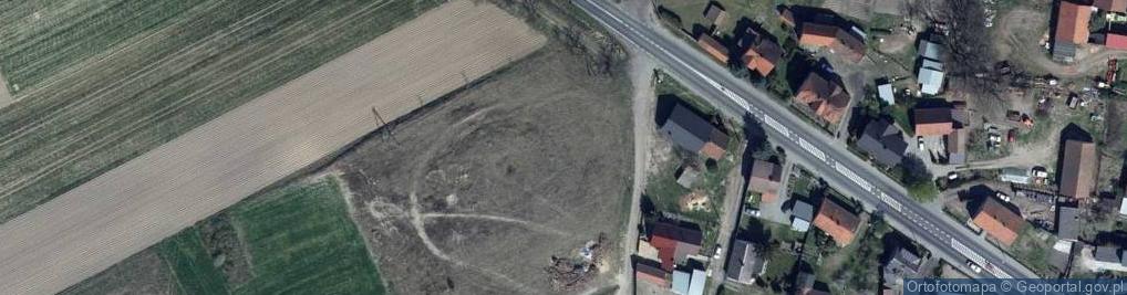 Zdjęcie satelitarne Dino