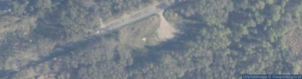 Zdjęcie satelitarne Dino