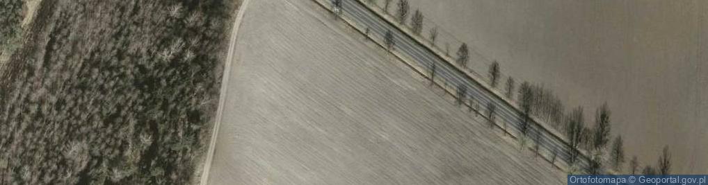 Zdjęcie satelitarne Dino