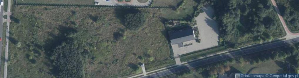 Zdjęcie satelitarne Dino