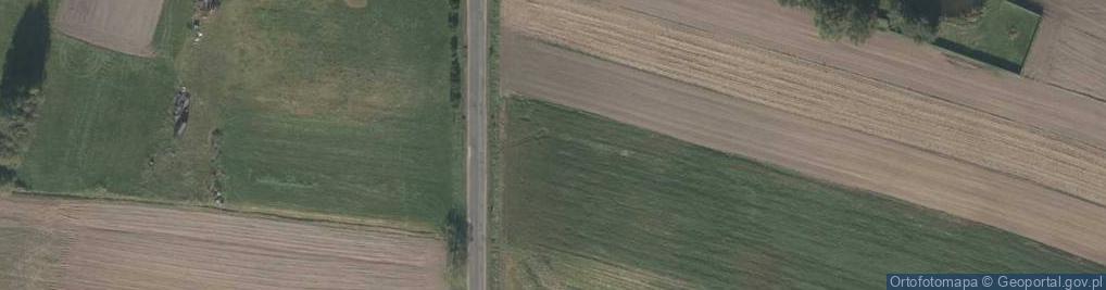 Zdjęcie satelitarne Dino