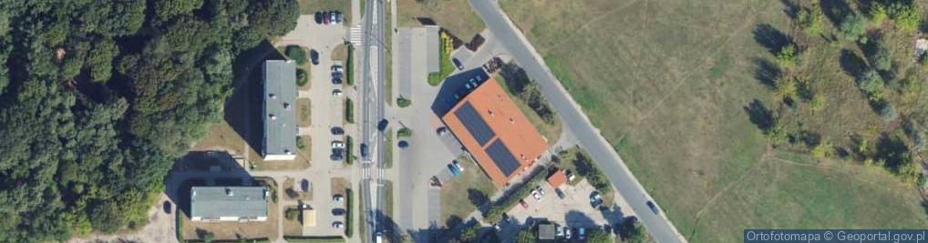 Zdjęcie satelitarne Dino