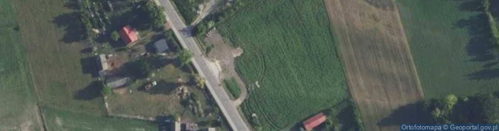 Zdjęcie satelitarne Dino