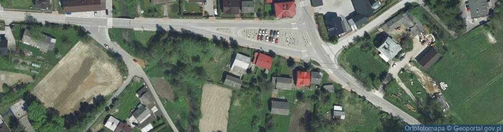 Zdjęcie satelitarne Dino