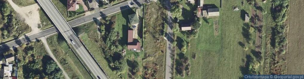 Zdjęcie satelitarne Dino