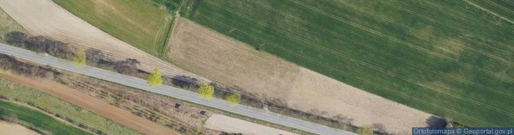 Zdjęcie satelitarne Dino