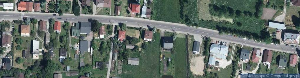 Zdjęcie satelitarne Dino