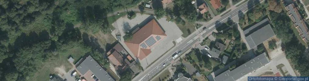 Zdjęcie satelitarne Dino