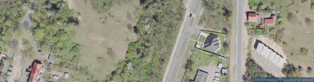 Zdjęcie satelitarne Dino