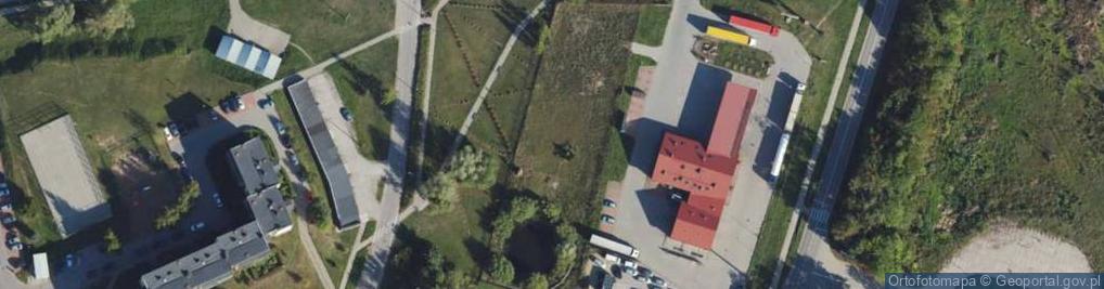 Zdjęcie satelitarne Dino