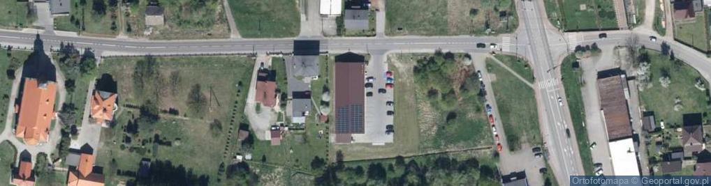 Zdjęcie satelitarne Dino