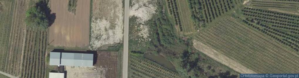 Zdjęcie satelitarne Dino