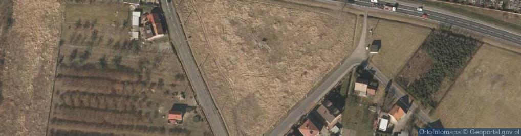 Zdjęcie satelitarne Dino