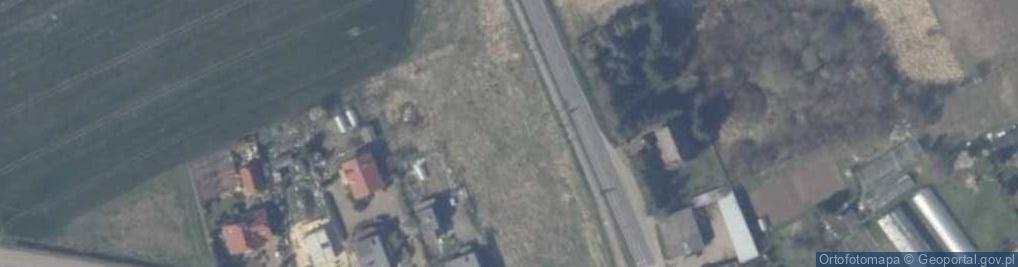 Zdjęcie satelitarne Dino