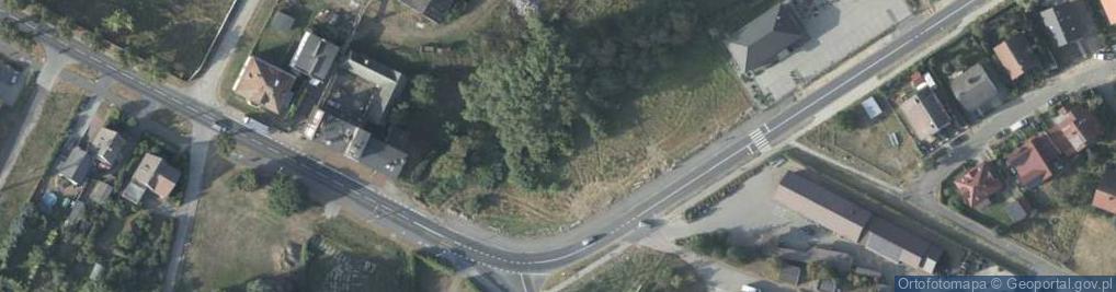 Zdjęcie satelitarne Dino