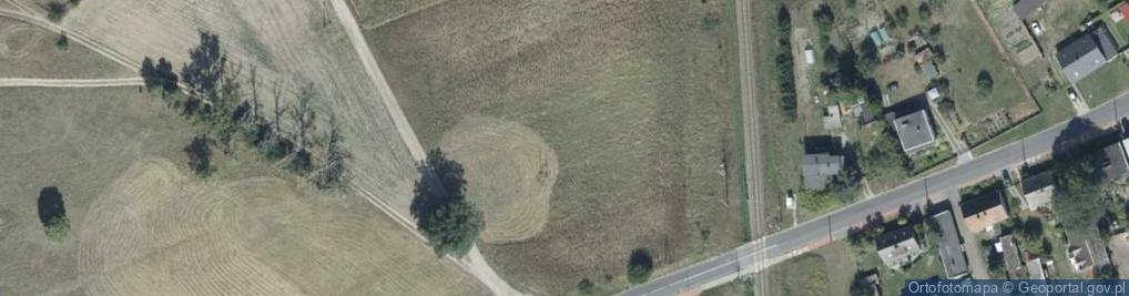 Zdjęcie satelitarne Dino