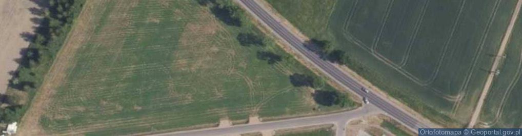 Zdjęcie satelitarne Dino