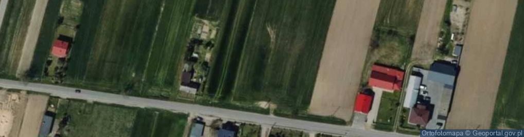 Zdjęcie satelitarne Dino