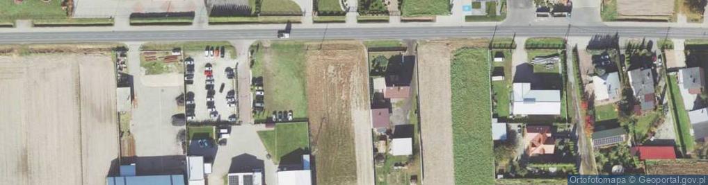 Zdjęcie satelitarne Dino