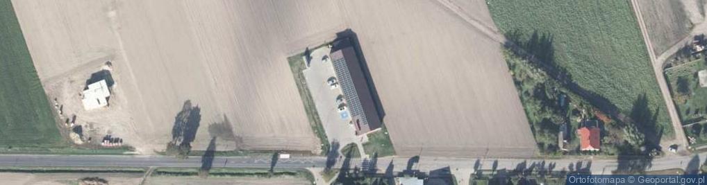 Zdjęcie satelitarne Dino